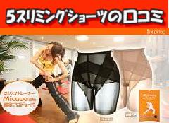 5���ݸ޼��̌��R�~